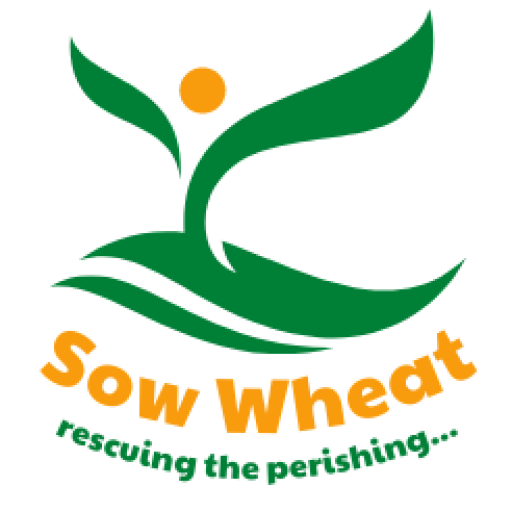 Sow Wheat