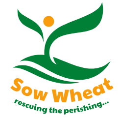 FUNDAMENTAL BELIEFS – Sow Wheat